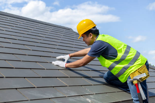 Best Roof Gutter Cleaning  in Farmville, NC