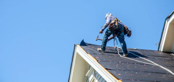 Best Residential Roof Replacement  in Farmville, NC